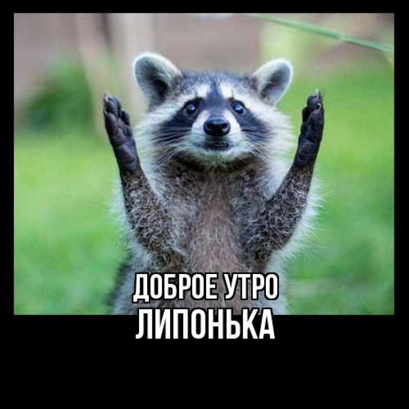 Картинка Доброе утро, Липонька