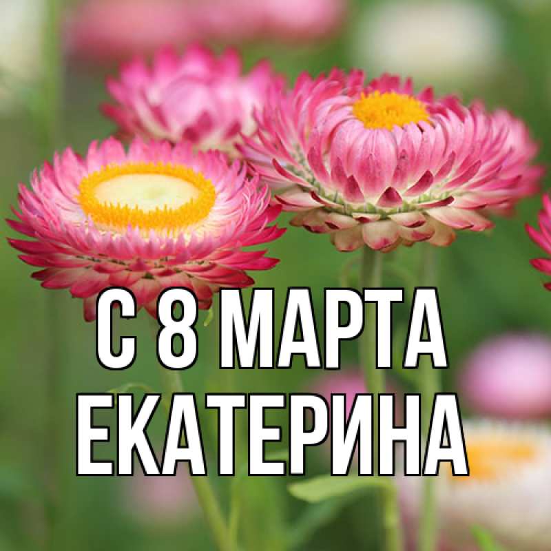 Картинка C 8 МАРТА, Екатерина