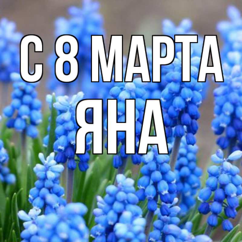Картинка C 8 МАРТА, Яна