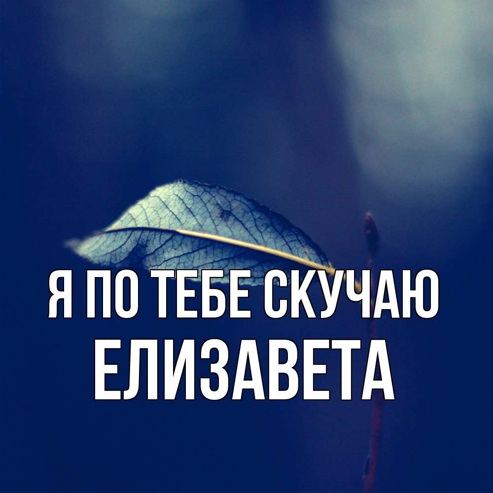 Открытка на каждый день с именем, Елизавета Я по тебе скучаю одна ветка 1 Прикольная открытка с пожеланием онлайн скачать бесплатно 