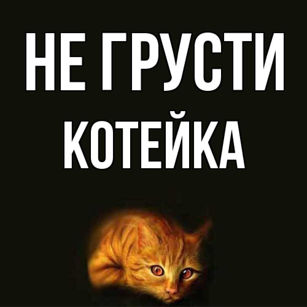 Открытка на каждый день с именем, Котейка Не грусти лежащий кот в темноте Прикольная открытка с пожеланием онлайн скачать бесплатно 