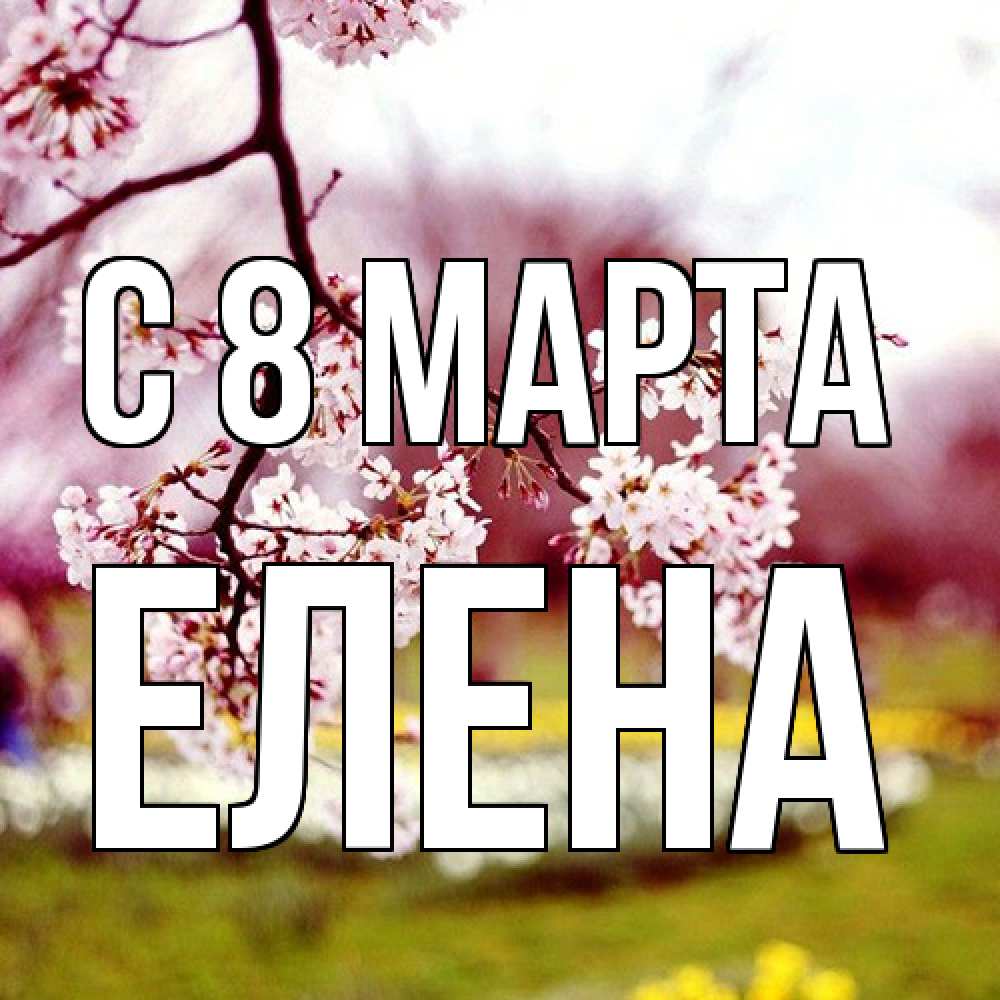 Открытка на каждый день с именем, Елена C 8 МАРТА яблоня Прикольная открытка с пожеланием онлайн скачать бесплатно 