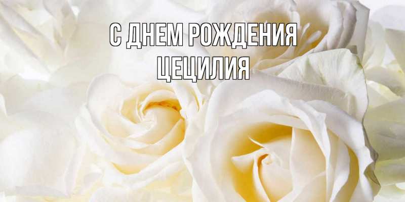 Картинка С днем рождения, Цецилия