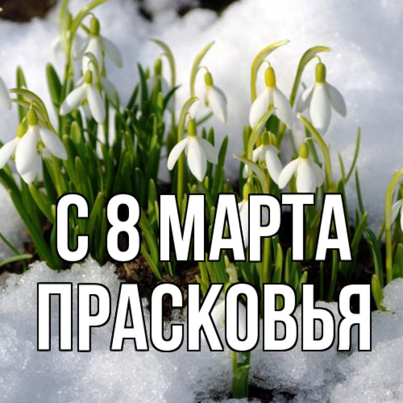 Картинка C 8 МАРТА, Прасковья