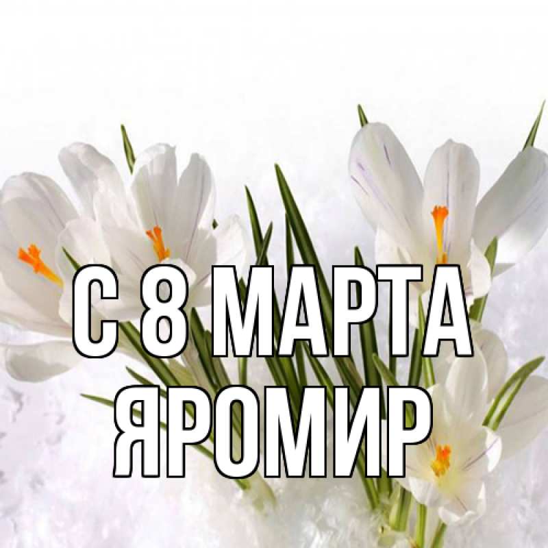 Картинка C 8 МАРТА, Яромир