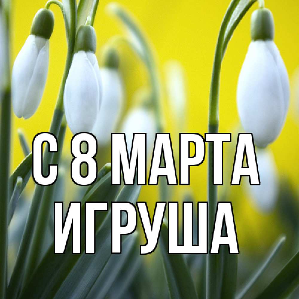 Открытка на каждый день с именем, Игруша C 8 МАРТА весенние цветы Прикольная открытка с пожеланием онлайн скачать бесплатно 
