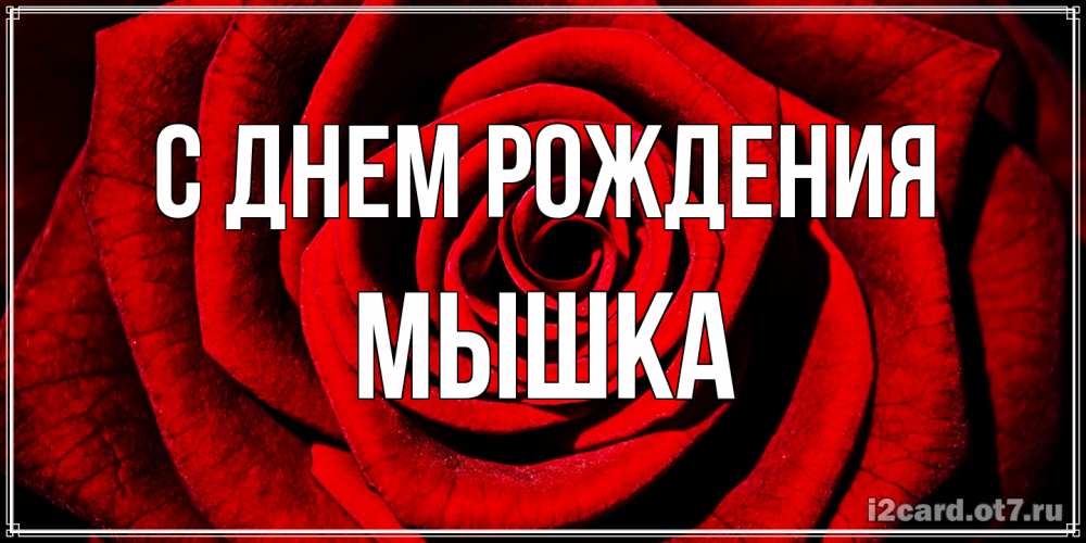 Открытка на каждый день с именем, Мышка С днем рождения алая роза Прикольная открытка с пожеланием онлайн скачать бесплатно 
