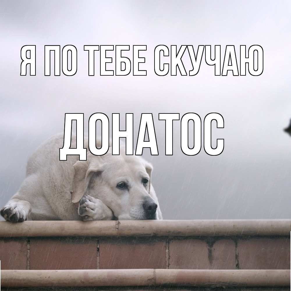Открытка на каждый день с именем, Донатос Я по тебе скучаю ждет Прикольная открытка с пожеланием онлайн скачать бесплатно 