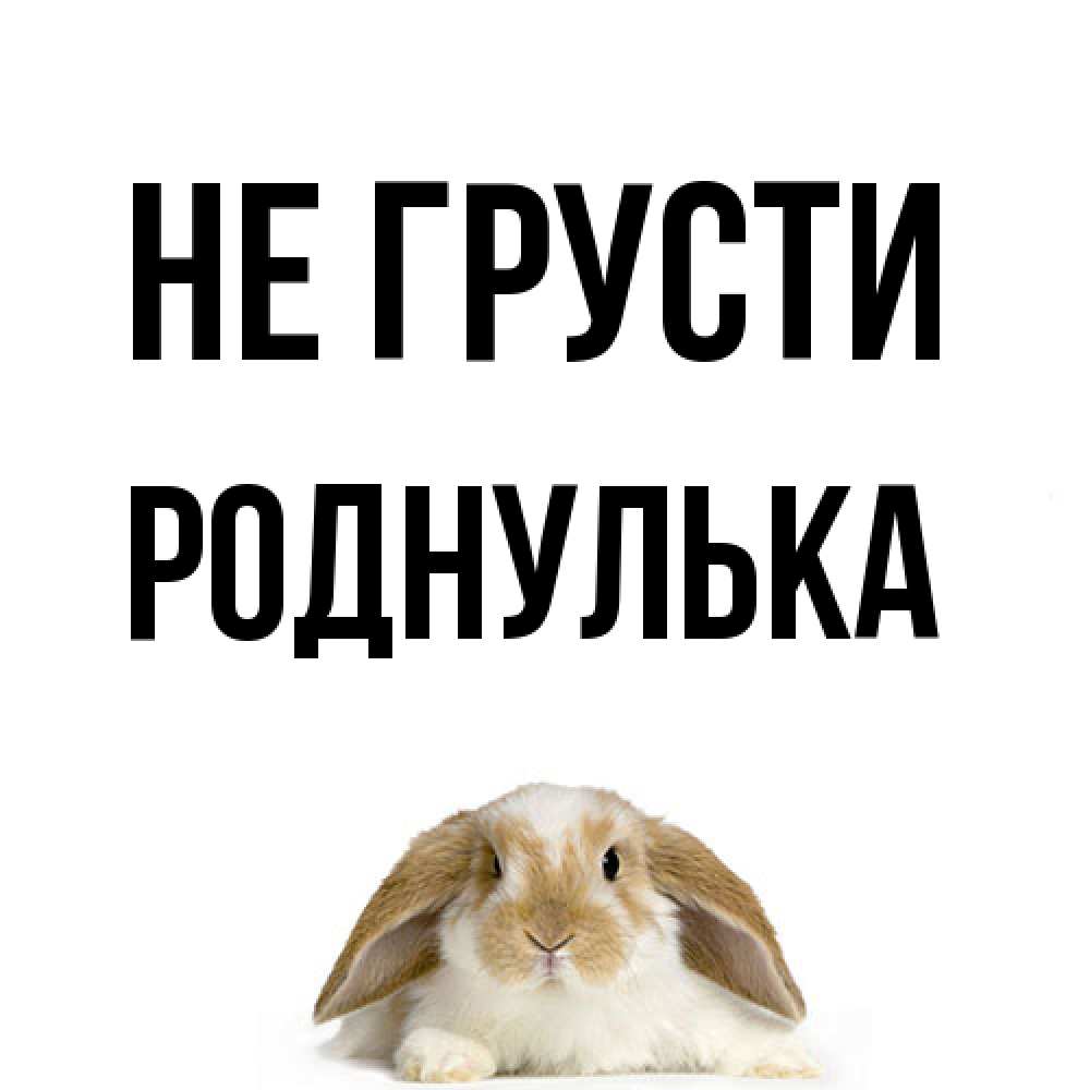 Открытка на каждый день с именем, Роднулька Не грусти коричнево белый заяц с большими ушками Прикольная открытка с пожеланием онлайн скачать бесплатно 