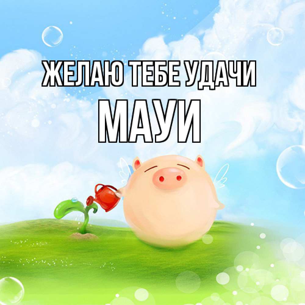 Открытка на каждый день с именем, Мауи Желаю тебе удачи поросенок поливает цветок. летнее настроение Прикольная открытка с пожеланием онлайн скачать бесплатно 