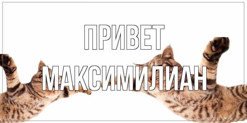 Картинка Привет, Максимилиан