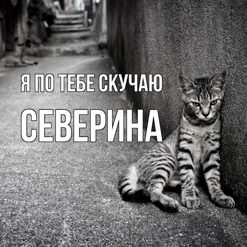 Картинка Я по тебе скучаю, Северина