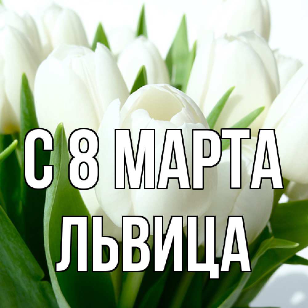 Открытка на каждый день с именем, Львица C 8 МАРТА цветы Прикольная открытка с пожеланием онлайн скачать бесплатно 