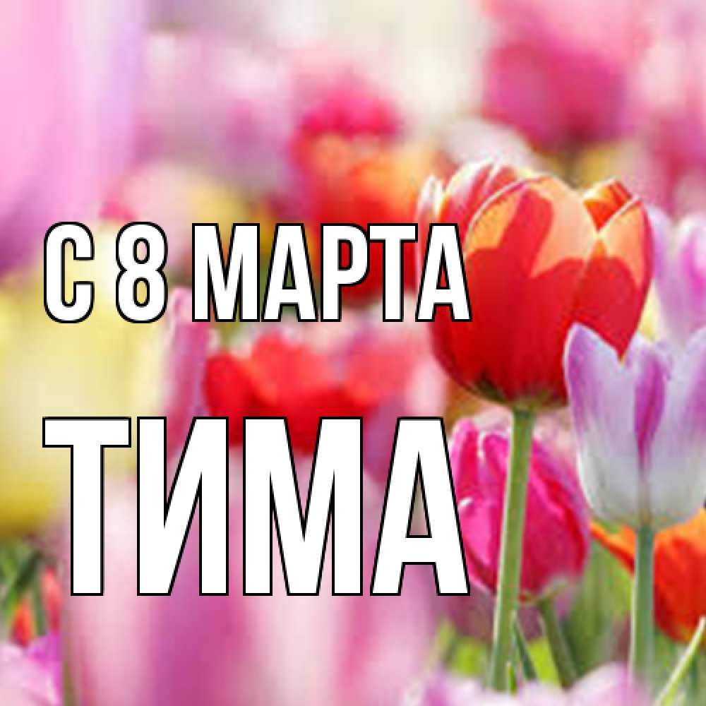 Открытка на каждый день с именем, Тима C 8 МАРТА на международный женский день 2 Прикольная открытка с пожеланием онлайн скачать бесплатно 