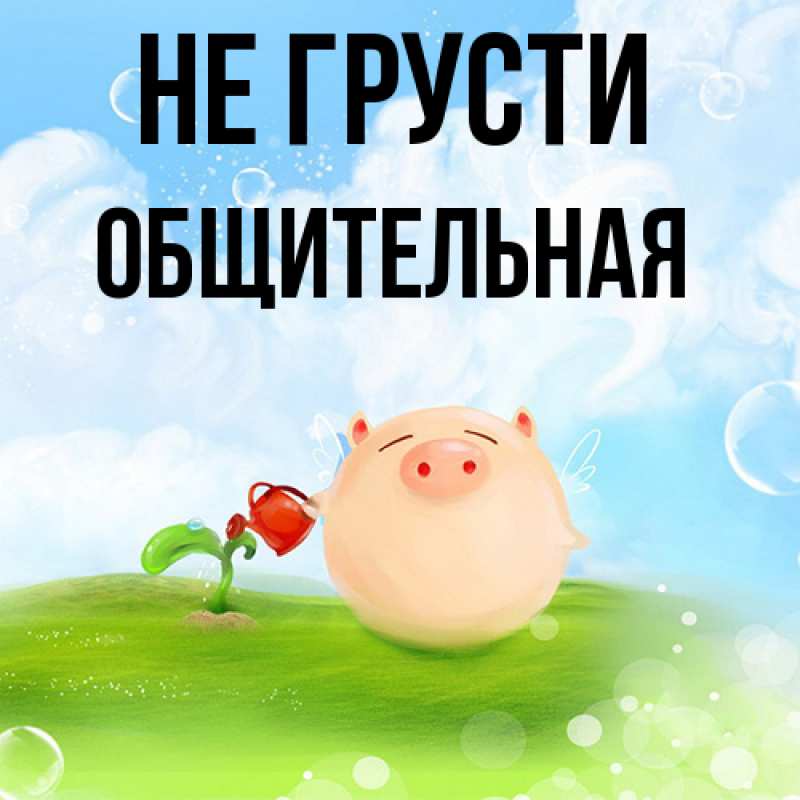 Картинка Не грусти, Общительная