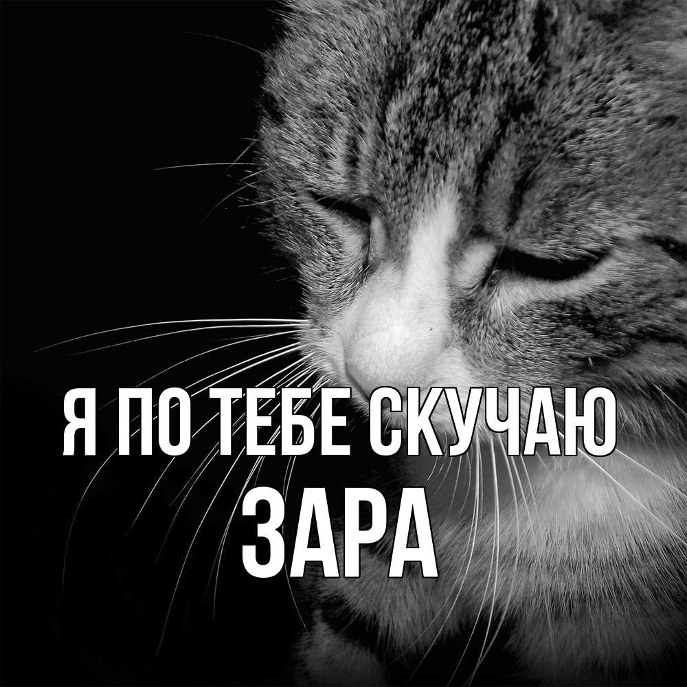 Открытка на каждый день с именем, Зара Я по тебе скучаю мне скучно Прикольная открытка с пожеланием онлайн скачать бесплатно 