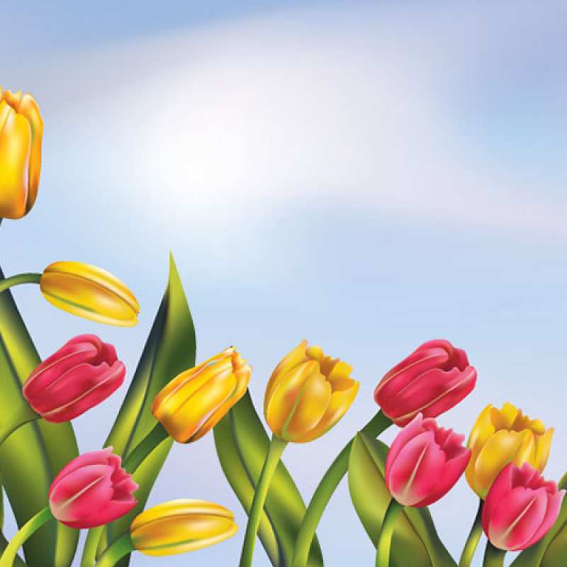 Картинка C 8 МАРТА, Гризли