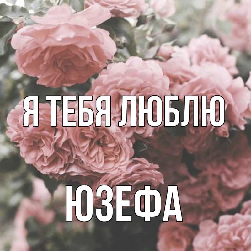 Картинка Я тебя люблю, Юзефа