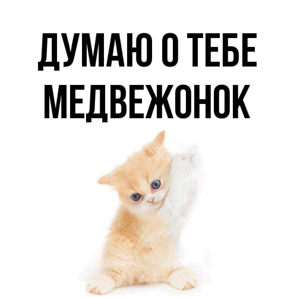 Открытка на каждый день с именем, медвежонок Думаю о тебе зверушки и милота Прикольная открытка с пожеланием онлайн скачать бесплатно 