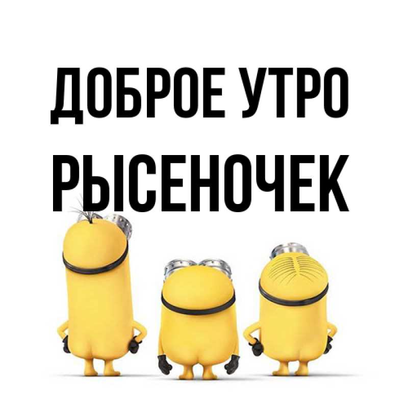 Картинка Доброе утро, Рысеночек