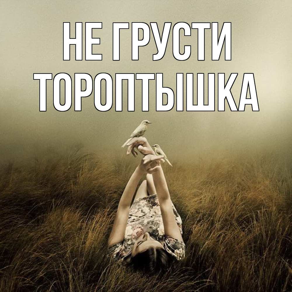 Открытка на каждый день с именем, Тороптышка Не грусти поле и туман Прикольная открытка с пожеланием онлайн скачать бесплатно 
