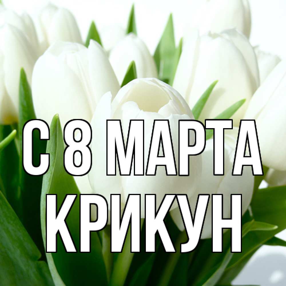 Открытка на каждый день с именем, Крикун C 8 МАРТА цветы Прикольная открытка с пожеланием онлайн скачать бесплатно 