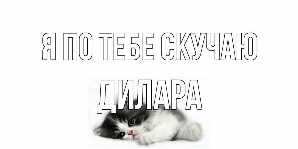 Открытка на каждый день с именем, Дилара Я по тебе скучаю кот, скука Прикольная открытка с пожеланием онлайн скачать бесплатно 