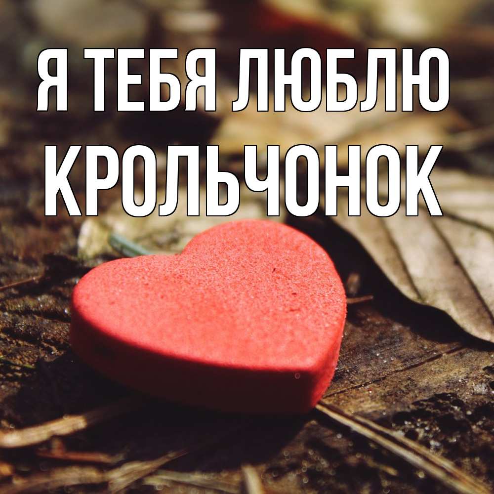 Открытка на каждый день с именем, Крольчонок Я тебя люблю листья деревье 4 Прикольная открытка с пожеланием онлайн скачать бесплатно 