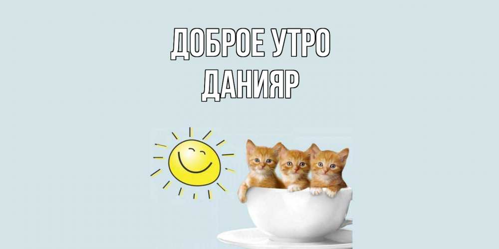 Открытка на каждый день с именем, Данияр Доброе утро котята Прикольная открытка с пожеланием онлайн скачать бесплатно 
