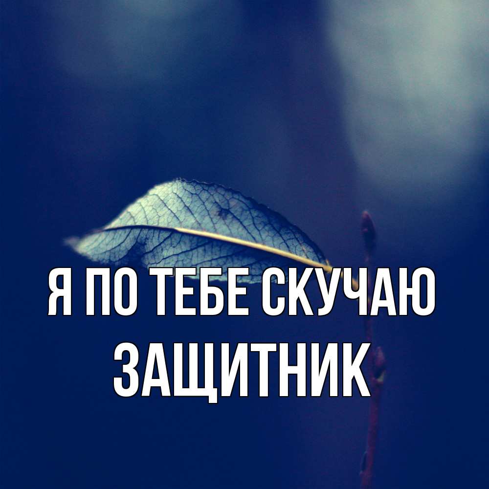 Открытка на каждый день с именем, Защитник Я по тебе скучаю одна ветка 1 Прикольная открытка с пожеланием онлайн скачать бесплатно 
