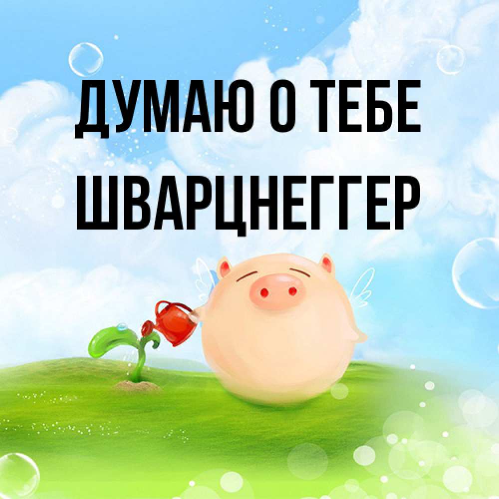 Открытка на каждый день с именем, Шварцнеггер Думаю о тебе позитивная свинюшка Прикольная открытка с пожеланием онлайн скачать бесплатно 