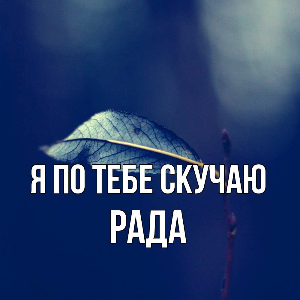 Открытка на каждый день с именем, Рада Я по тебе скучаю одна ветка 1 Прикольная открытка с пожеланием онлайн скачать бесплатно 