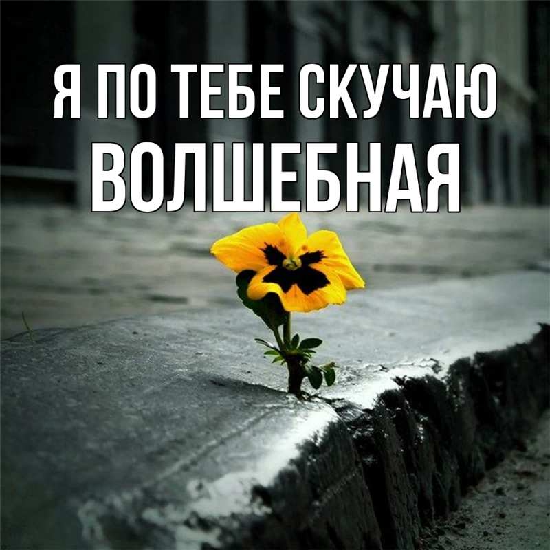 Картинка Я по тебе скучаю, Волшебная