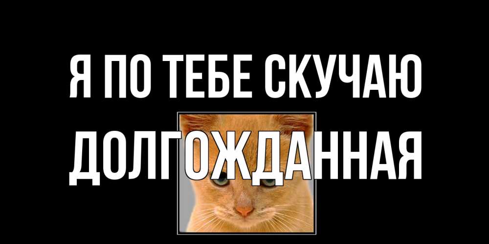 Открытка на каждый день с именем, Долгожданная Я по тебе скучаю открытки рыжий котенок скучает по тебе Прикольная открытка с пожеланием онлайн скачать бесплатно 