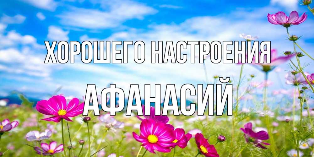 Открытка на каждый день с именем, Афанасий Хорошего настроения поле цветов Прикольная открытка с пожеланием онлайн скачать бесплатно 