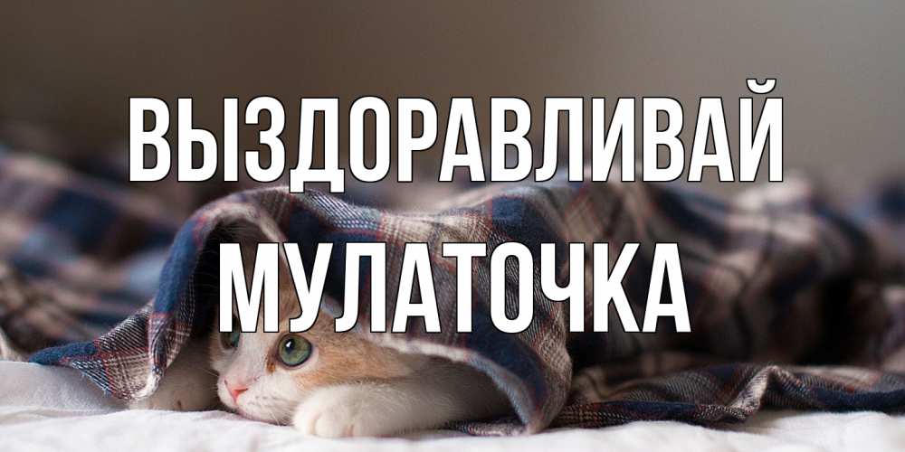 Открытка на каждый день с именем, Мулаточка Выздоравливай не болейте с котиком Прикольная открытка с пожеланием онлайн скачать бесплатно 