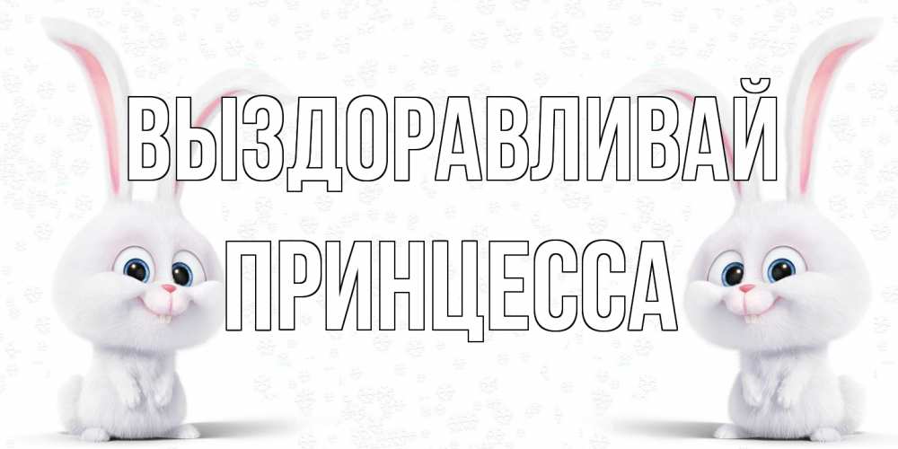 Открытка на каждый день с именем, Принцесса Выздоравливай не болей с зайцем Прикольная открытка с пожеланием онлайн скачать бесплатно 