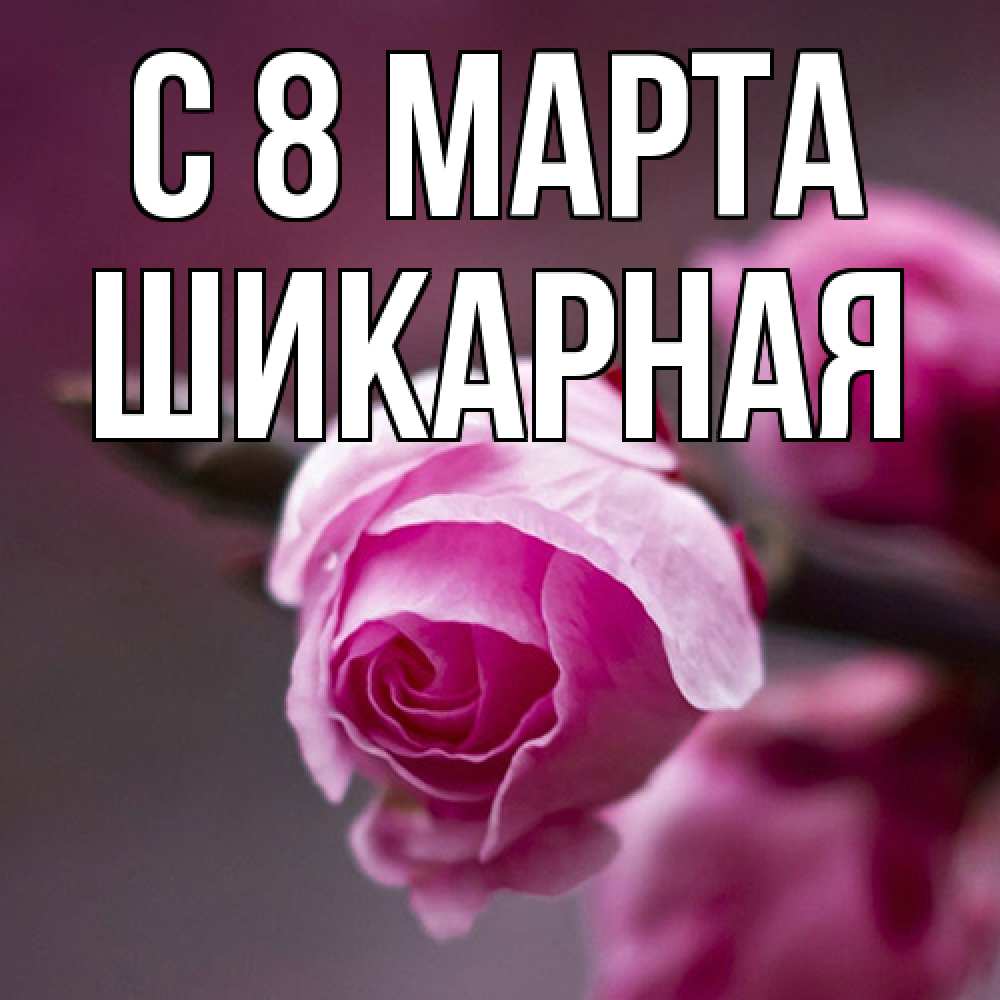Открытка на каждый день с именем, шикарная C 8 МАРТА весна Прикольная открытка с пожеланием онлайн скачать бесплатно 