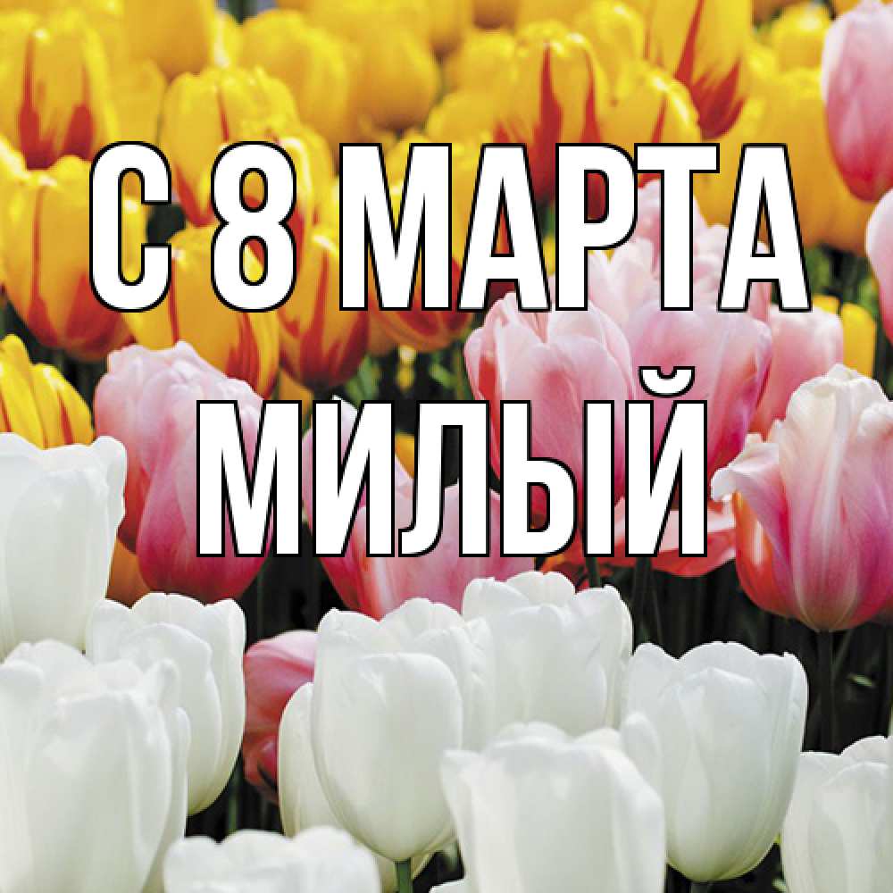 Открытка на каждый день с именем, Милый C 8 МАРТА разноцветные цветы Прикольная открытка с пожеланием онлайн скачать бесплатно 