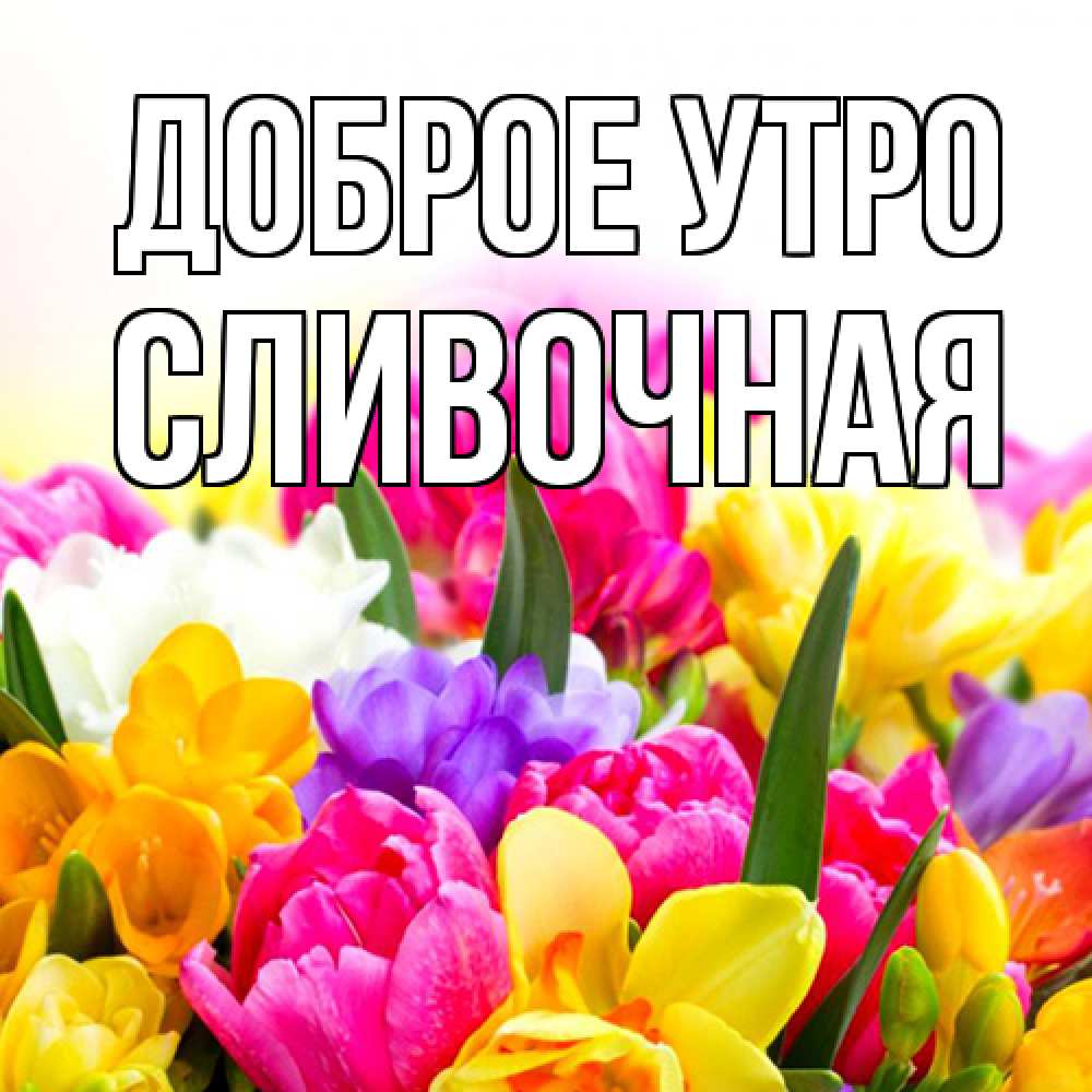 Открытка на каждый день с именем, Сливочная Доброе утро создать открытку со свое подписью Прикольная открытка с пожеланием онлайн скачать бесплатно 