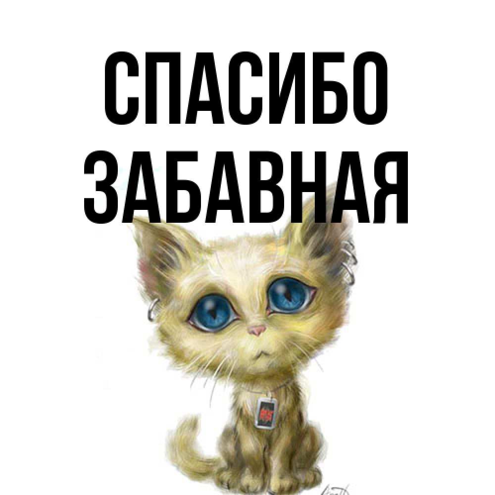 Открытка на каждый день с именем, забавная Спасибо рисованный кот благодарит вас Прикольная открытка с пожеланием онлайн скачать бесплатно 