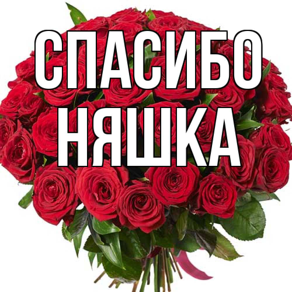 Открытка на каждый день с именем, Няшка Спасибо букет красных роз Прикольная открытка с пожеланием онлайн скачать бесплатно 