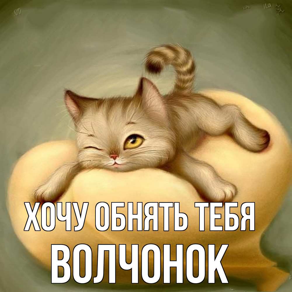 Открытка на каждый день с именем, Волчонок Хочу обнять тебя кошечка Прикольная открытка с пожеланием онлайн скачать бесплатно 