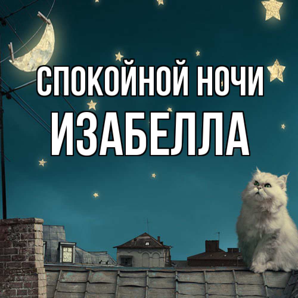 Открытка на каждый день с именем, Изабелла Спокойной ночи белый кот сидит на крыше Прикольная открытка с пожеланием онлайн скачать бесплатно 