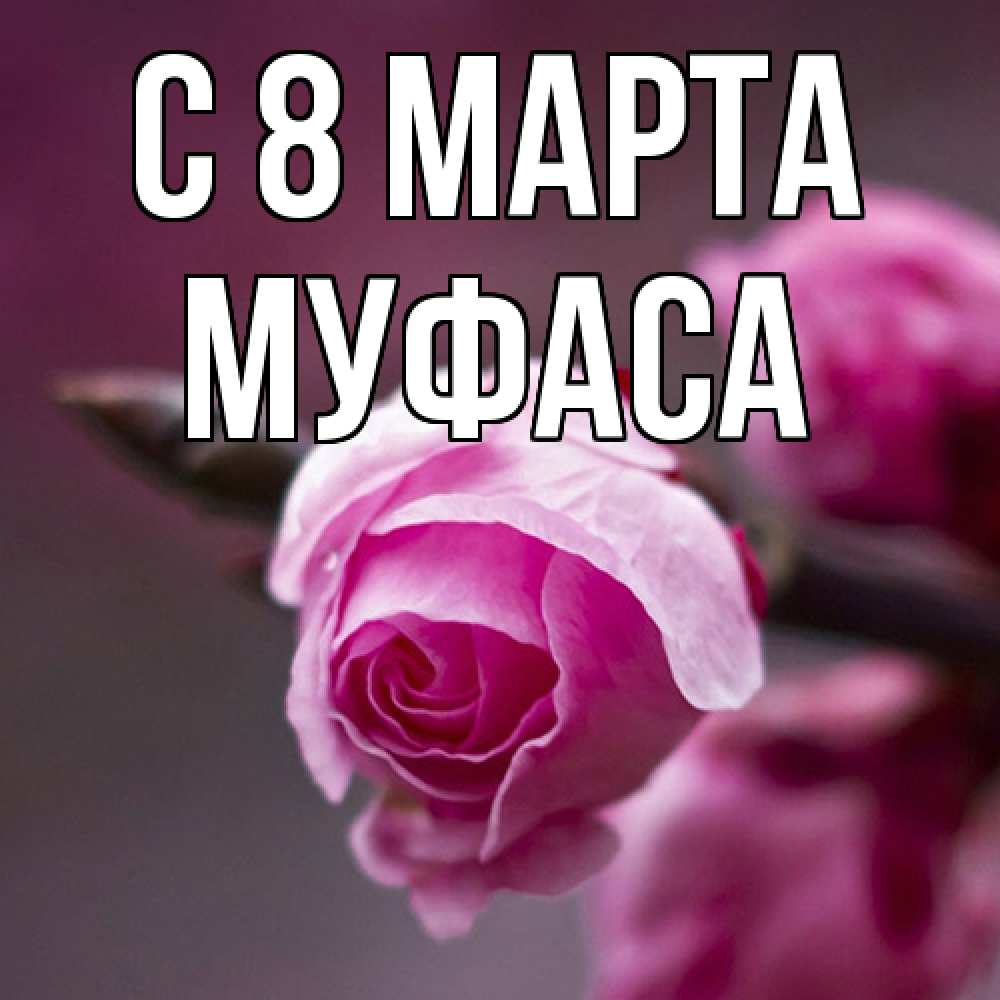 Открытка на каждый день с именем, Муфаса C 8 МАРТА весна Прикольная открытка с пожеланием онлайн скачать бесплатно 