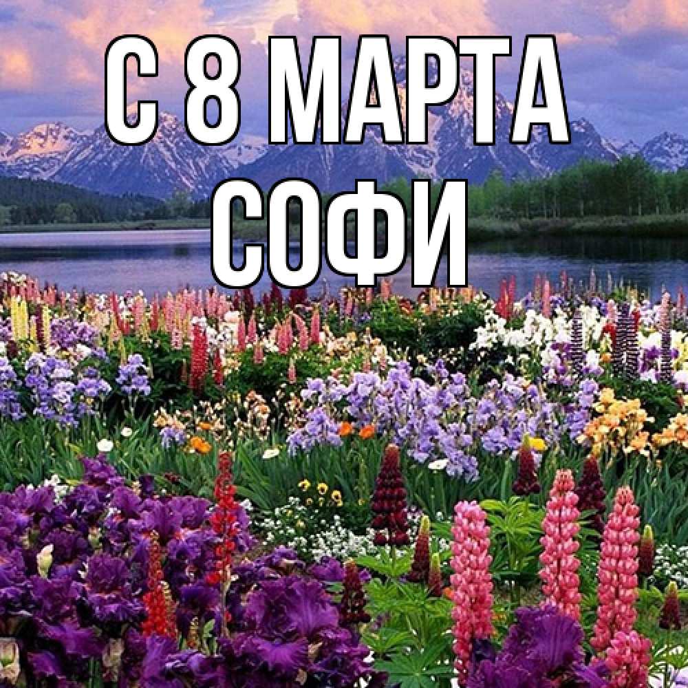 Открытка на каждый день с именем, Софи C 8 МАРТА международный женский день Прикольная открытка с пожеланием онлайн скачать бесплатно 