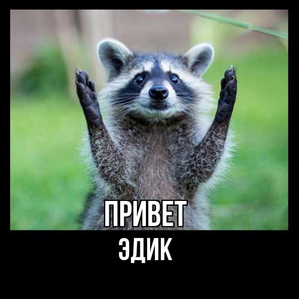 Открытка на каждый день с именем, Эдик Привет животные Прикольная открытка с пожеланием онлайн скачать бесплатно 