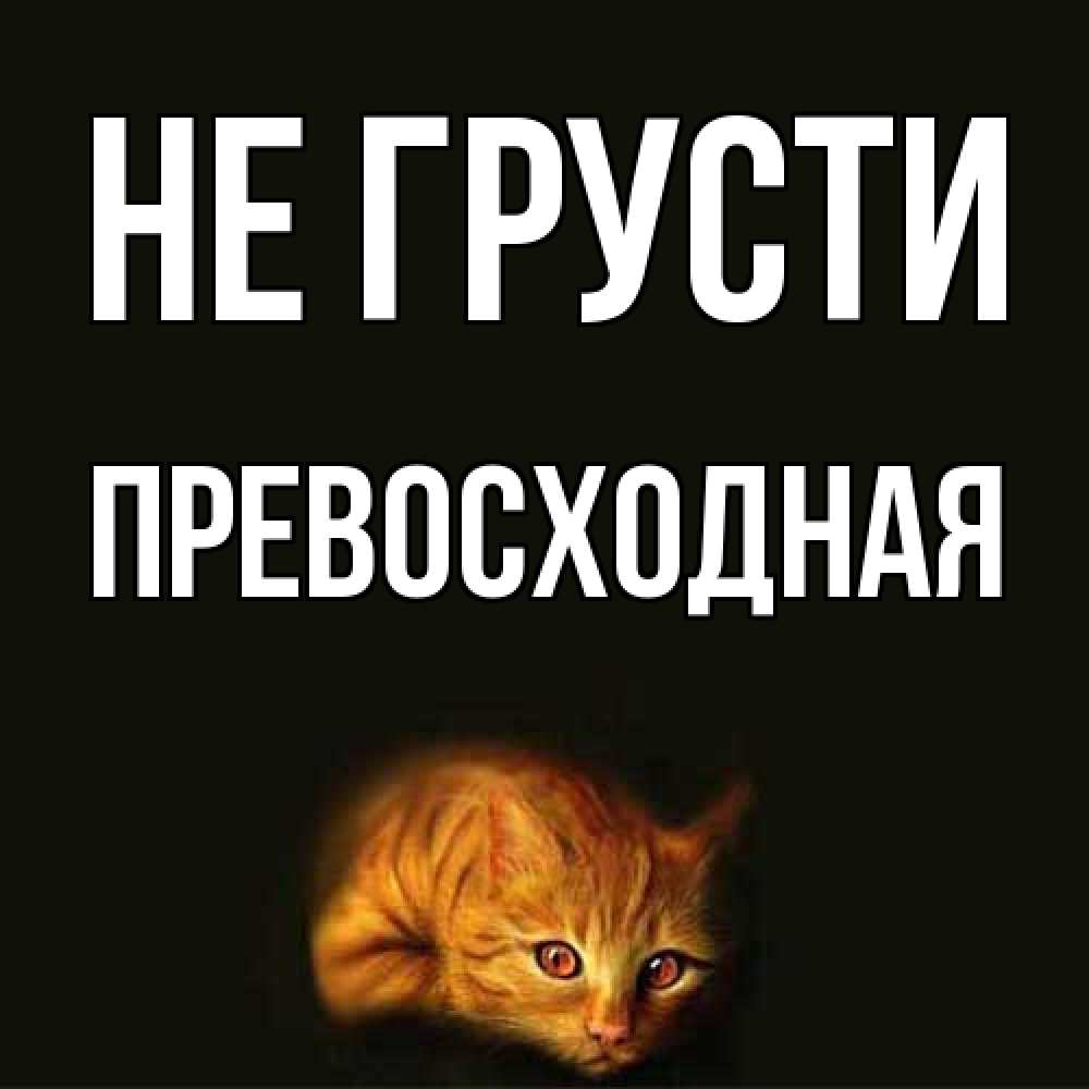 Открытка на каждый день с именем, Пpевосходная Не грусти лежащий кот в темноте Прикольная открытка с пожеланием онлайн скачать бесплатно 