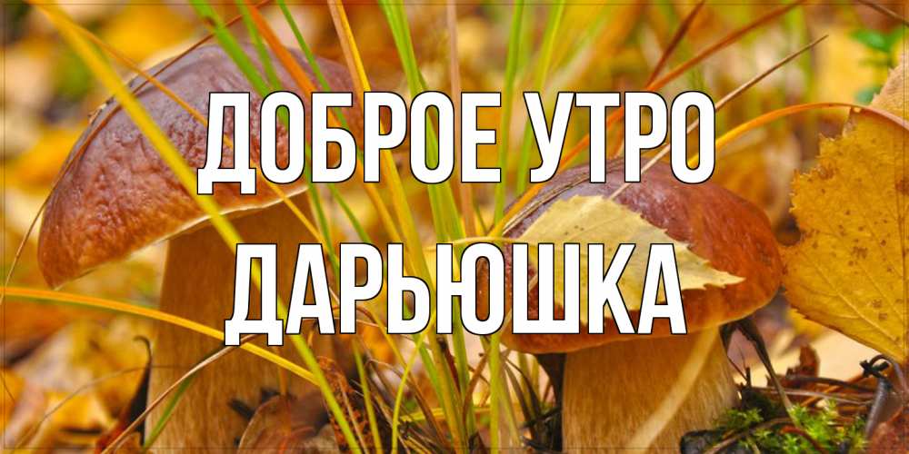 Открытка на каждый день с именем, Дарьюшка Доброе утро осенние грибы Прикольная открытка с пожеланием онлайн скачать бесплатно 
