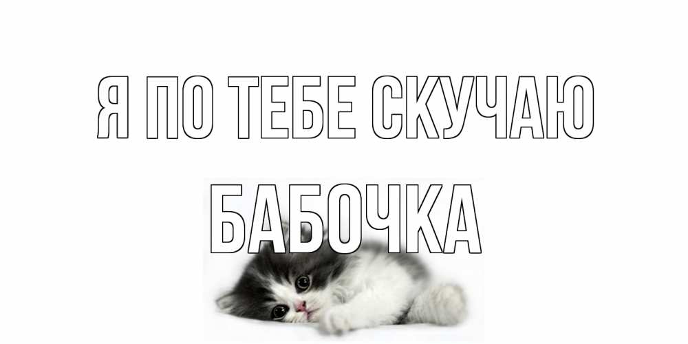 Открытка на каждый день с именем, Бабочка Я по тебе скучаю кот, скука Прикольная открытка с пожеланием онлайн скачать бесплатно 